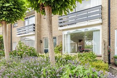 Begonia 34-57 - Bewerkt.jpg